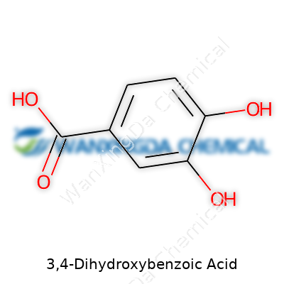 3,4-Dihydroxybenzoic Acid