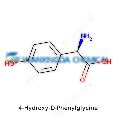 4-Hydroxy-D-Phenylglycine