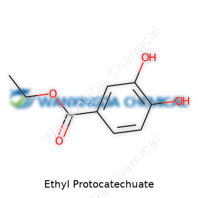 Ethyl Protocatechuate
