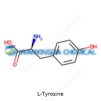 L-Tyrosine