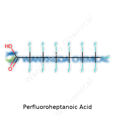 Perfluoroheptanoic Acid