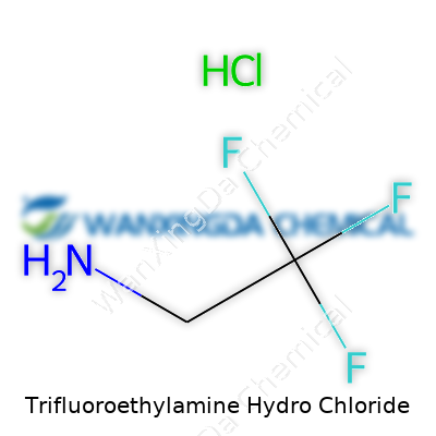 Trifluoroethylamine Hydro Chloride